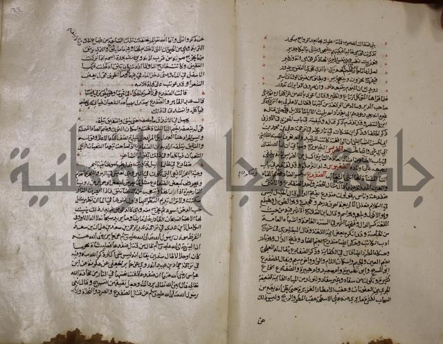 حياة الحيوان الكبرى