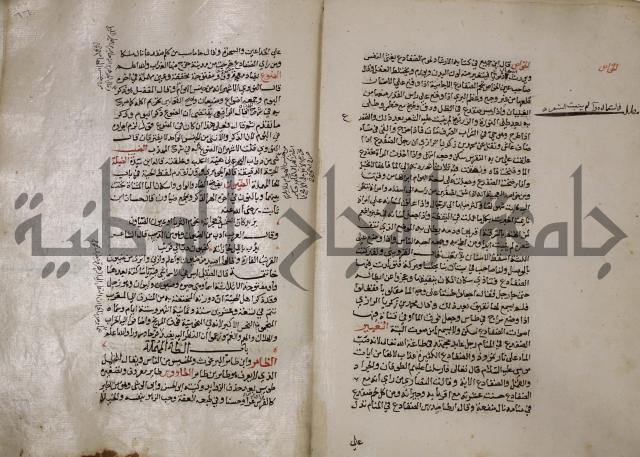 حياة الحيوان الكبرى