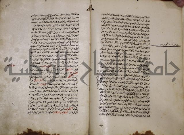 حياة الحيوان الكبرى