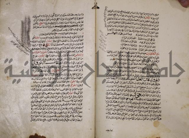 حياة الحيوان الكبرى