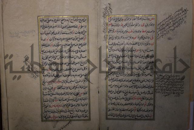 الحصن الحصين