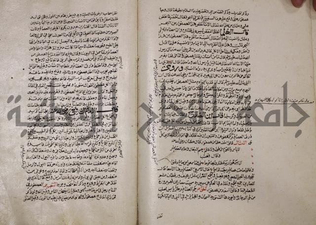 حياة الحيوان الكبرى