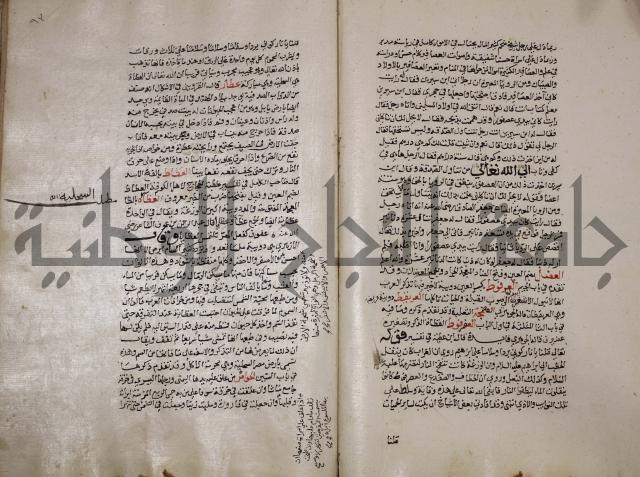 حياة الحيوان الكبرى