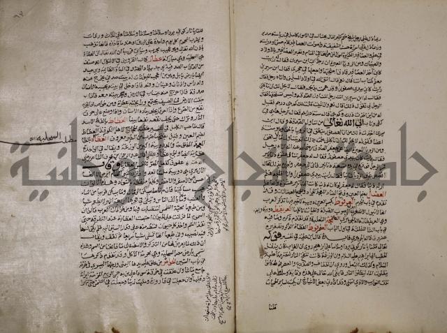 حياة الحيوان الكبرى