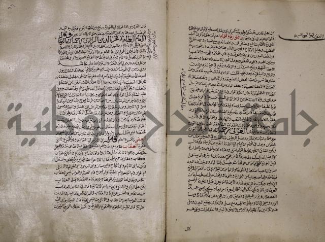 حياة الحيوان الكبرى