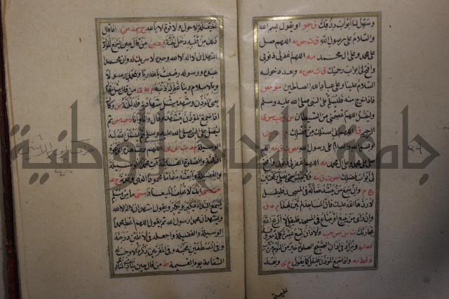 الحصن الحصين