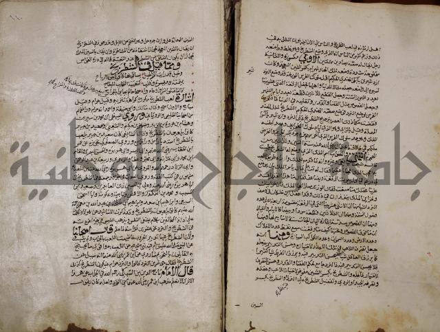 حياة الحيوان الكبرى