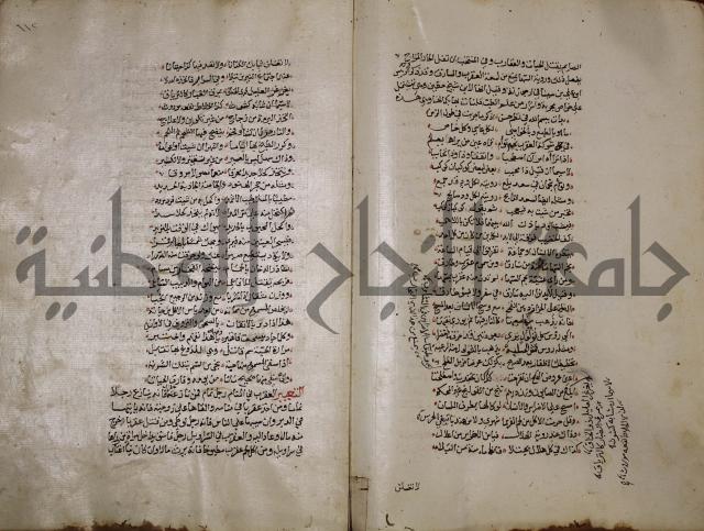 حياة الحيوان الكبرى