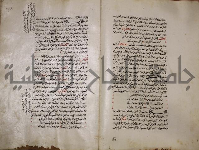 حياة الحيوان الكبرى