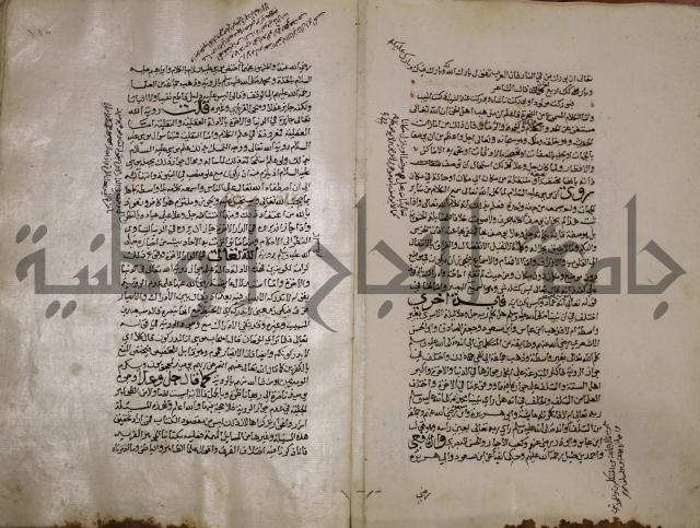 حياة الحيوان الكبرى