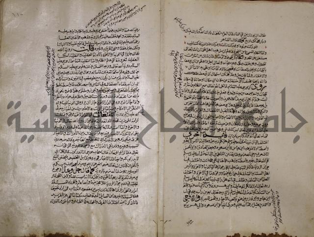 حياة الحيوان الكبرى