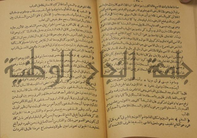 حياة الحيوان الكبرى 