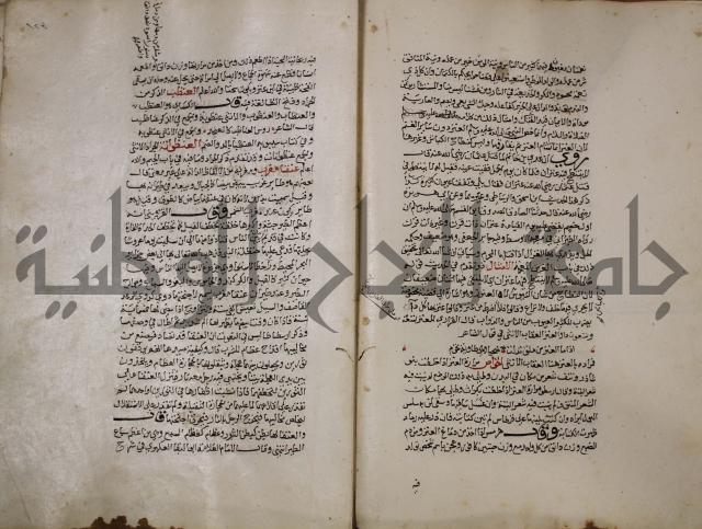 حياة الحيوان الكبرى