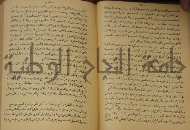 حياة الحيوان الكبرى 