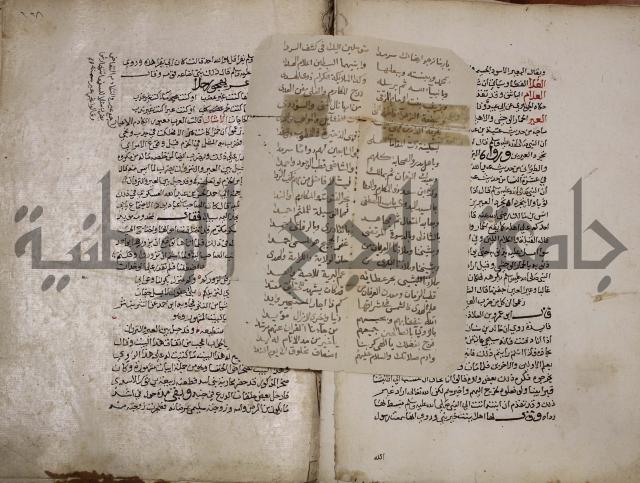 حياة الحيوان الكبرى