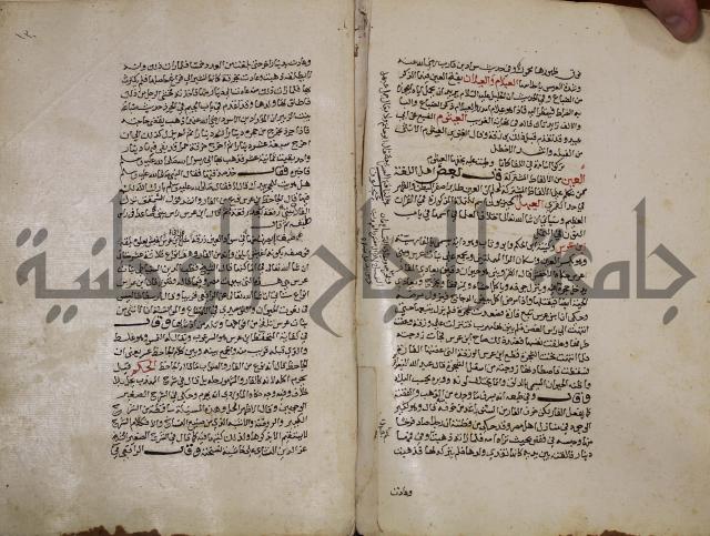 حياة الحيوان الكبرى