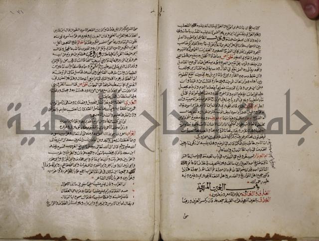 حياة الحيوان الكبرى