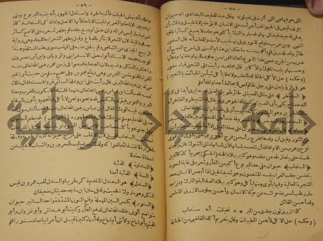 حياة الحيوان الكبرى 