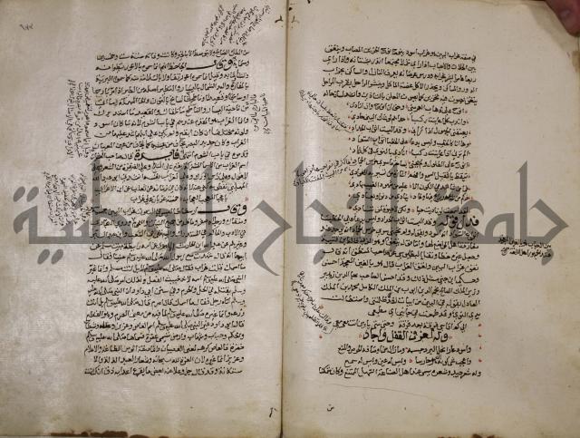 حياة الحيوان الكبرى