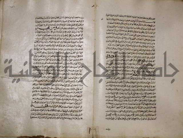 حياة الحيوان الكبرى