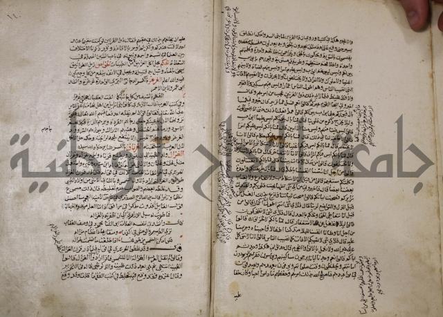 حياة الحيوان الكبرى