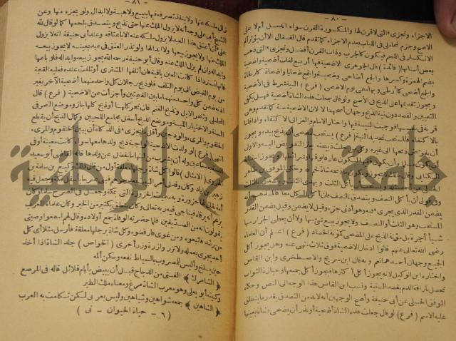 حياة الحيوان الكبرى 