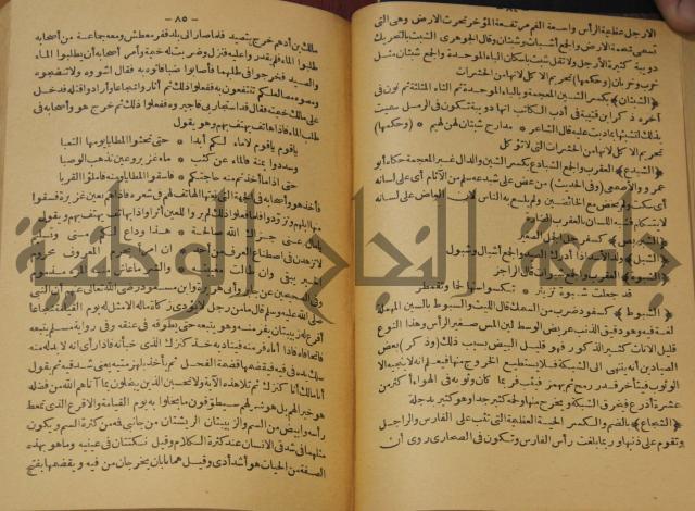 حياة الحيوان الكبرى 