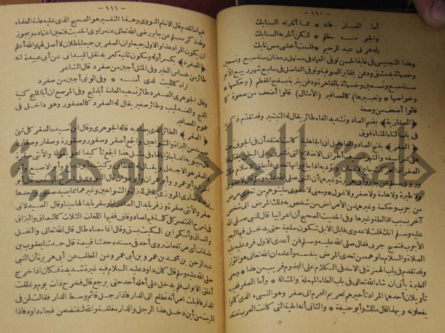 حياة الحيوان الكبرى 