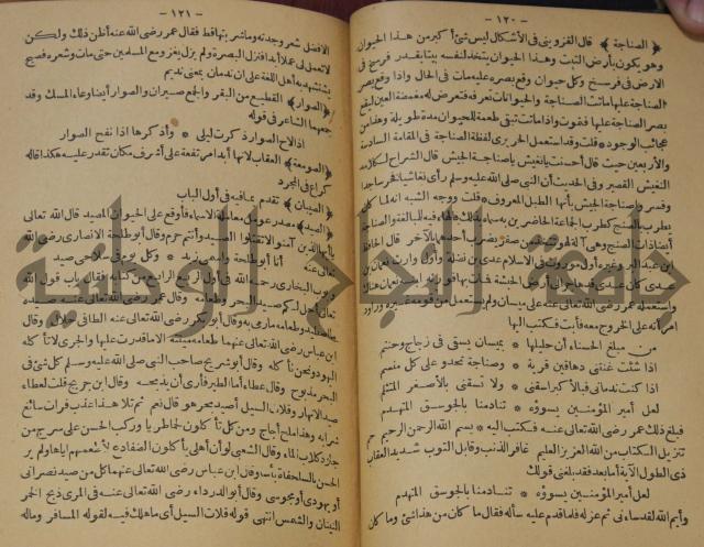 حياة الحيوان الكبرى 