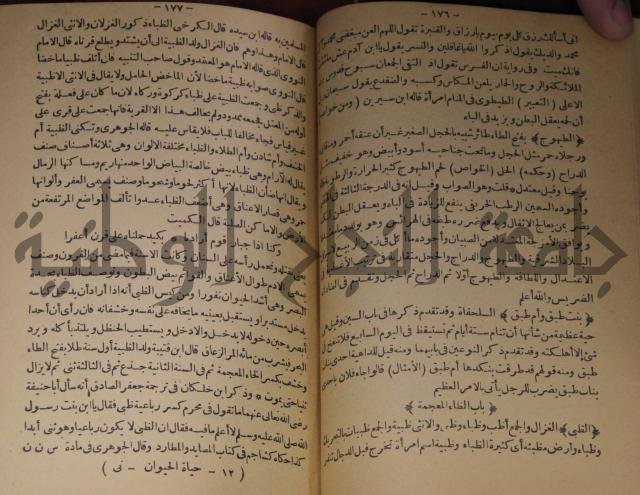 حياة الحيوان الكبرى 