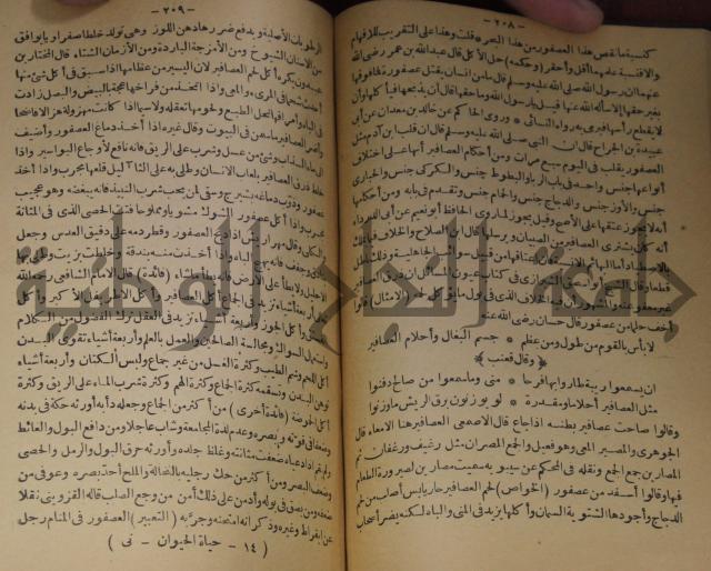 حياة الحيوان الكبرى 