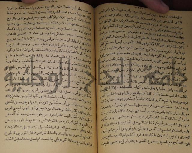 حياة الحيوان الكبرى 