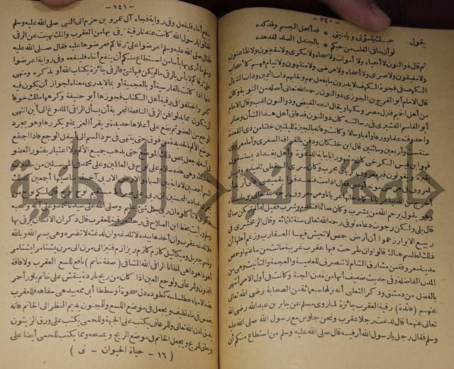 حياة الحيوان الكبرى 