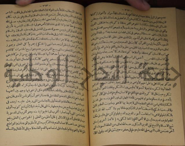 حياة الحيوان الكبرى 