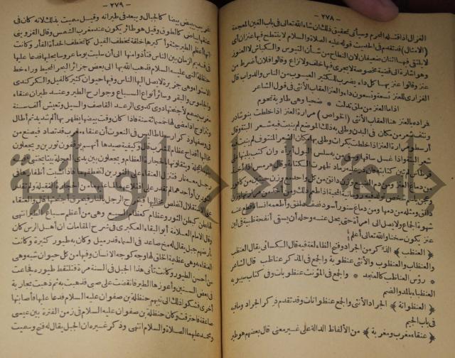 حياة الحيوان الكبرى 