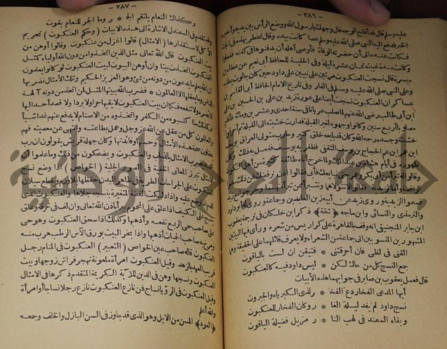 حياة الحيوان الكبرى 