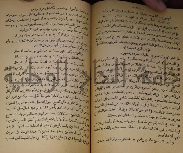 حياة الحيوان الكبرى 