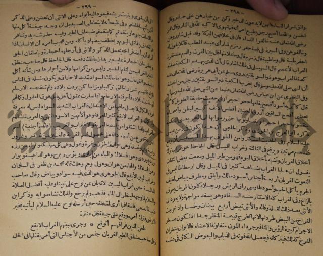 حياة الحيوان الكبرى 