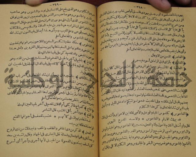 حياة الحيوان الكبرى 