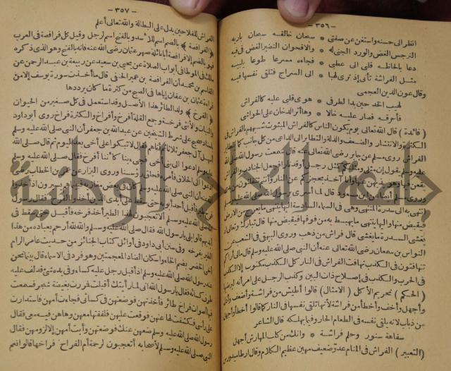 حياة الحيوان الكبرى 