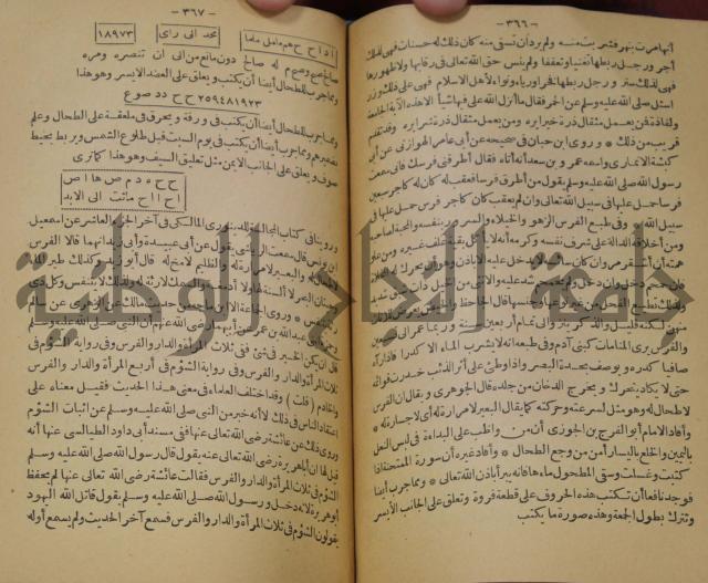 حياة الحيوان الكبرى 