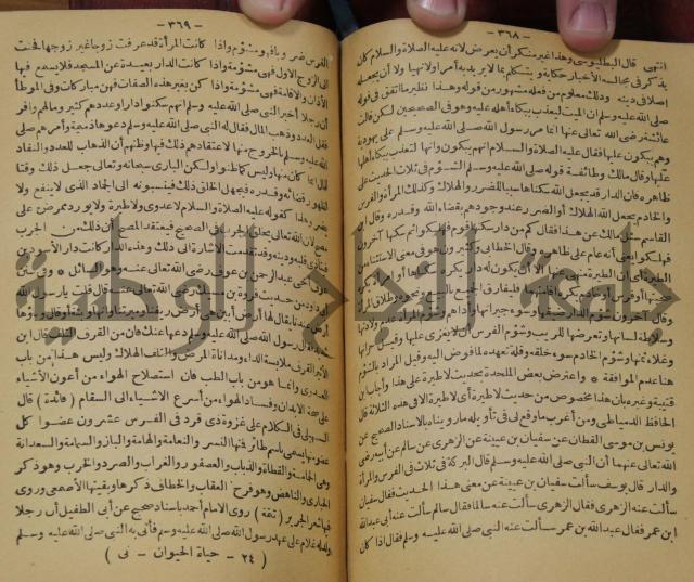 حياة الحيوان الكبرى 