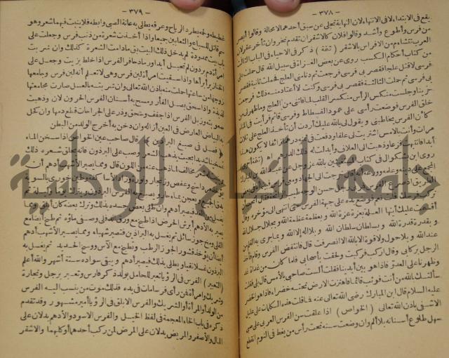 حياة الحيوان الكبرى 