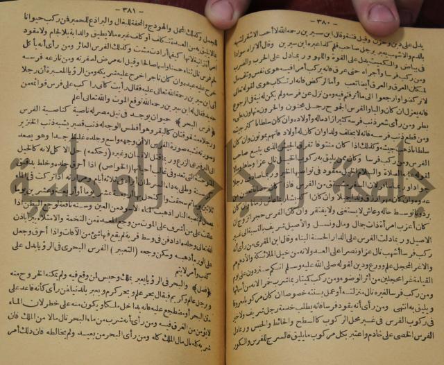 حياة الحيوان الكبرى 