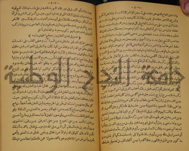 حياة الحيوان الكبرى 