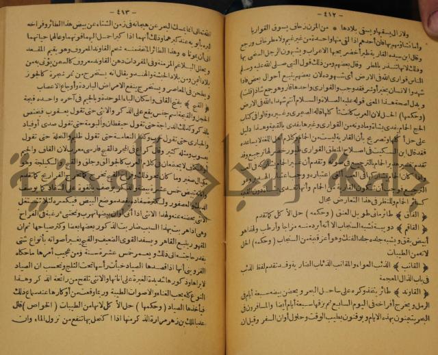 حياة الحيوان الكبرى 