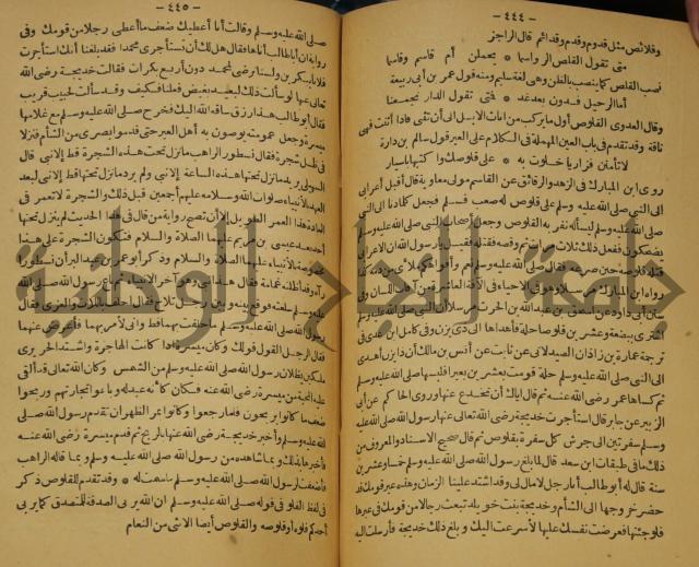 حياة الحيوان الكبرى 