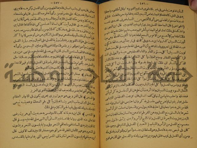 حياة الحيوان الكبرى 