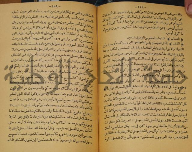 حياة الحيوان الكبرى 