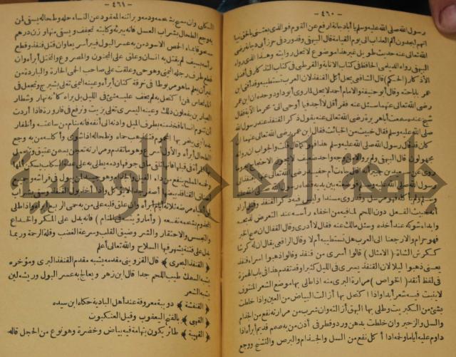 حياة الحيوان الكبرى 